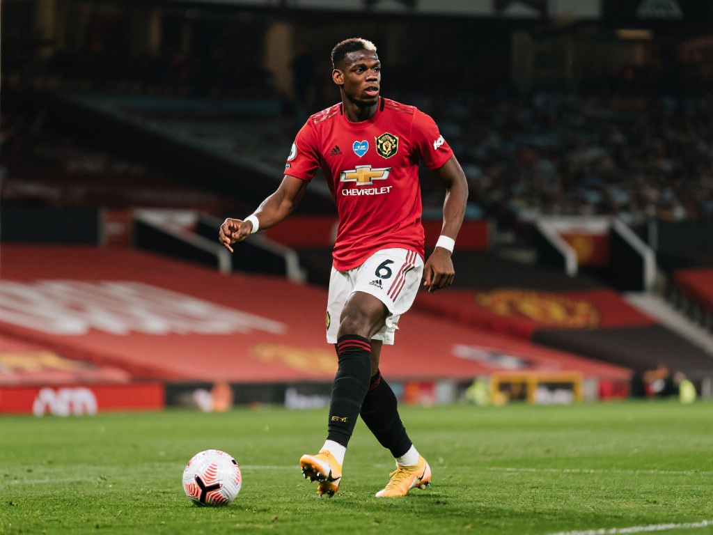 地数量的增 地数量的增