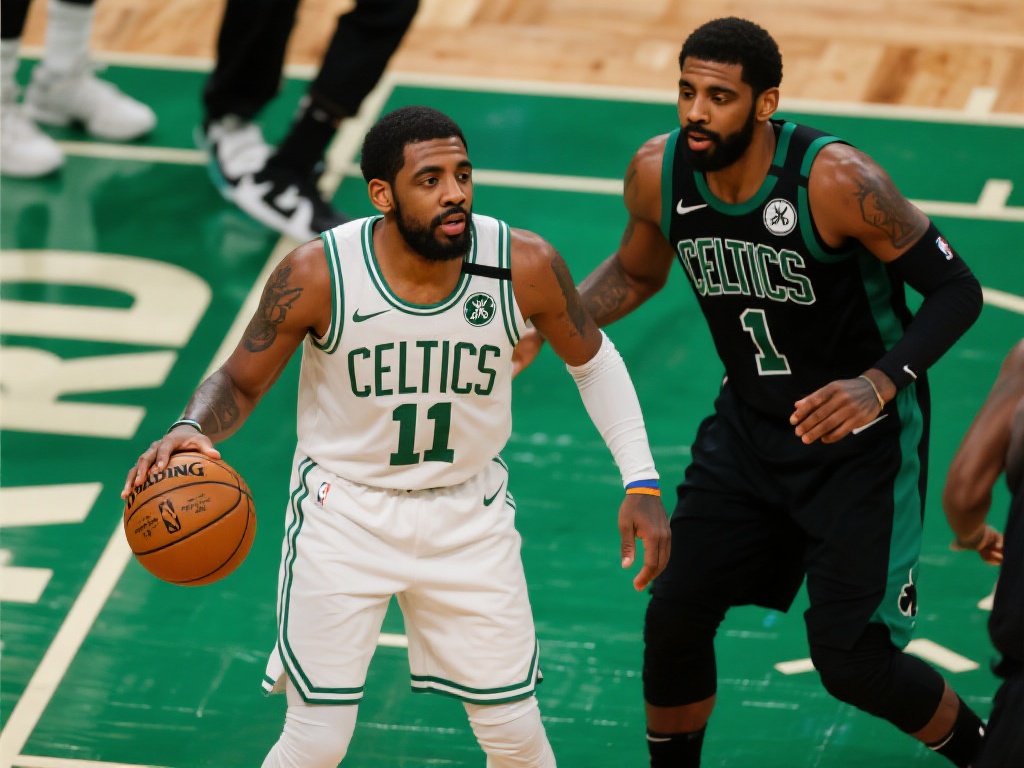 将为游客提 将为游客提